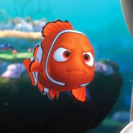 Cuanto tiempo se supone que ha pasado desde que acaba BUSCANDO A NEMO hasta que empieza BUSCANDO A DORY? - Adivina las 50 preguntas sobre pel&iacute;culas infantiles (Parte 2)