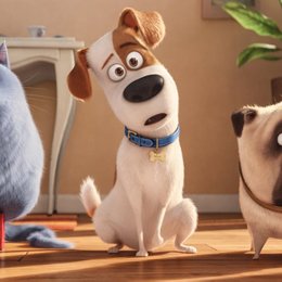 Como se llama el perro protagonista de MASCOTAS? - Adivina las 50 preguntas sobre pel&iacute;culas infantiles (Parte 2)