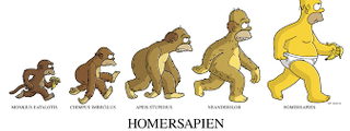 Proceso de Hominización