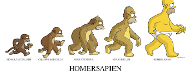 Proceso de Hominización