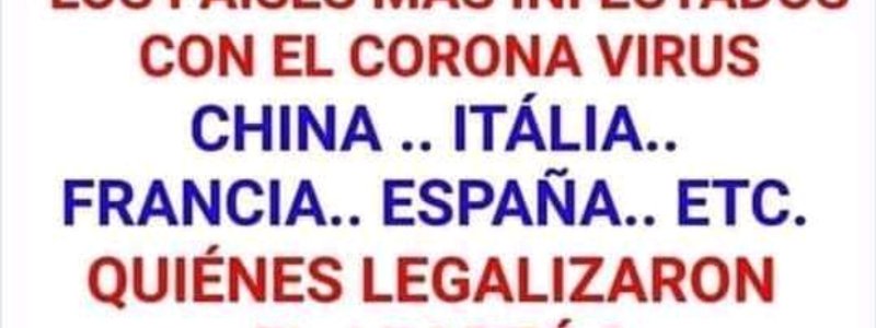 Manzana y cebollin