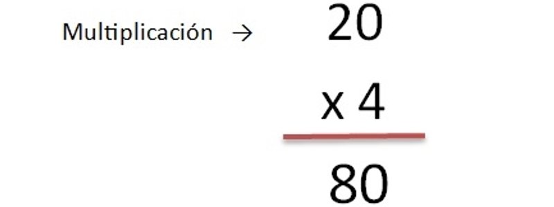 CONOCIMIENTOS DE PRIMARIA