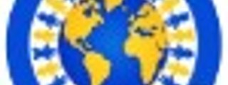 English Questions