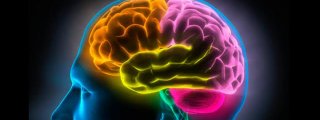 Test proyectivos y psicometricos 