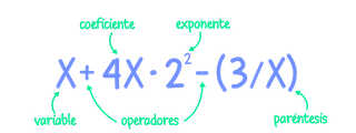 ¿Qué sabes acerca de las expresiones algebraicas?