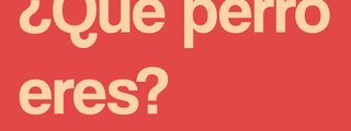 ¿Qué tipo de perro eres?