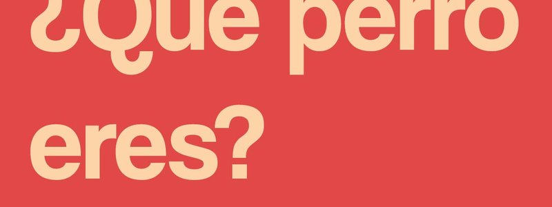 ¿Qué tipo de perro eres?
