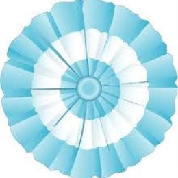 &iquest;Cual es la flor nacional de Argentina?  - &iquest;Cuanto sabemos de la Agrupaci&oacute;n y del folklore Argentino?