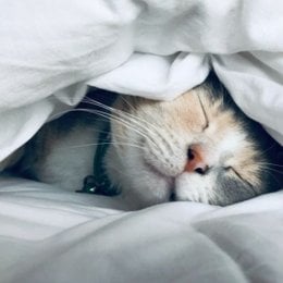 Dormir y descansar, tener buenos h&aacute;bitos higi&eacute;nicos,practicar moderamente deporte o comer bien son... - LA SALUD