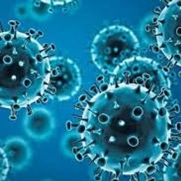 El coronavirus de las narices (me imagino que os sonar&aacute;) es una enfermedad: (pincha en la m&aacute;s correcta de todas) - LA SALUD