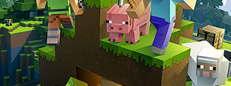 CUANTO SABES DE MINECRAFT?