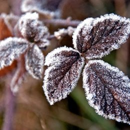 En la naturaleza las part&iacute;culas de vapor de agua se convierten en peque&ntilde;os s&oacute;lidos formando nieve y escarcha, este cambio de estado se lo conoce como:
 - Evaluaci&oacute;n F&iacute;sico Qu&iacute;mica