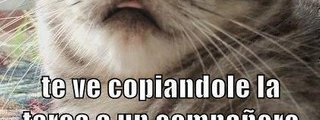 ¿Crees que eres inteligente?