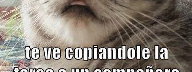 ¿Crees que eres inteligente?