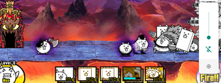 Cuanto sabes acerca estos gatos