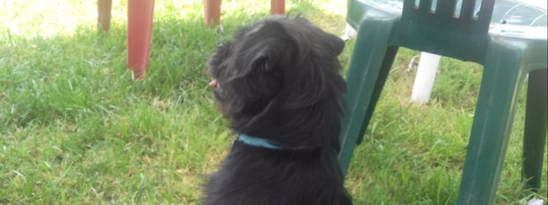 Quien conoce Mejor A SamiraNG