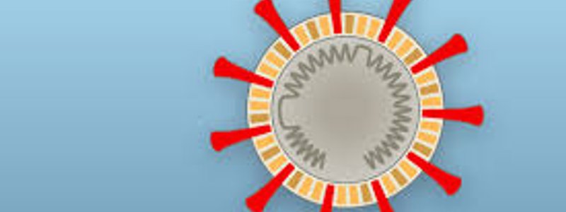 ¿Qué tanto habita el Coronavirus en tu pensamiento?