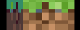 cuanto sabes de minecraft