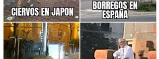 Que color eres 7u7