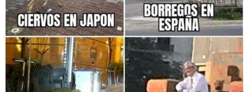 Que color eres 7u7
