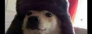 algo uwu