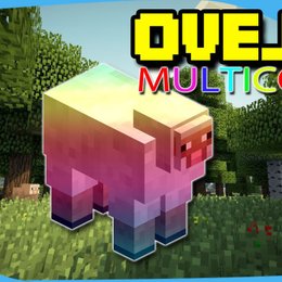 Que nombre le debes poner a una oveja para que se vuelva multicolor  - Cuanto conoces de los mobs de Minecraft?