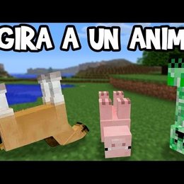 Que nombre le debes poner a un mob para que se ponga de cabeza - Cuanto conoces de los mobs de Minecraft?