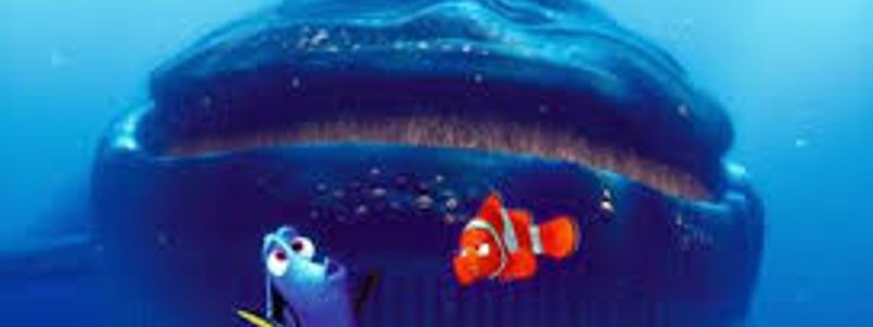 Elegí frases de Buscando a Nemo y te digo a qué edad vas a conocer al amor de tu vida