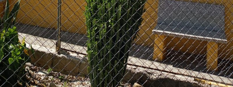 LA MATERIA Y SUS PROPIEDADES 