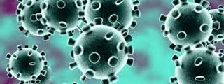 EL CORONAVIRUS 