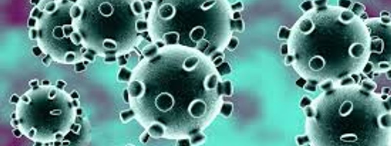 EL CORONAVIRUS 