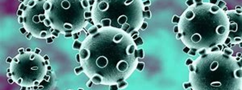 &iquest;Te estas cuidando bien del CORONAVIRUS?