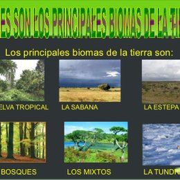 Regi&oacute;n natural que alberga mayor diversidad, recarga acu&iacute;feros y es importante para producir ox&iacute;geno - Geograf&iacute;a. Unidades de estudio