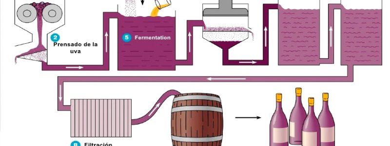 TRANSFORMACIONES DE LOS ALIMENTOS