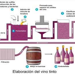 &iquest;Qu&eacute; tipo de transformaci&oacute;n se produce en la elaboraci&oacute;n del vino? - TRANSFORMACIONES DE LOS ALIMENTOS