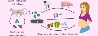 Enfermedades infecciosas