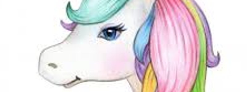 que unicornio es el indicado para ti