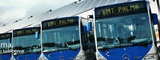 EMT PALMA ¿CUÁNTO SABES?