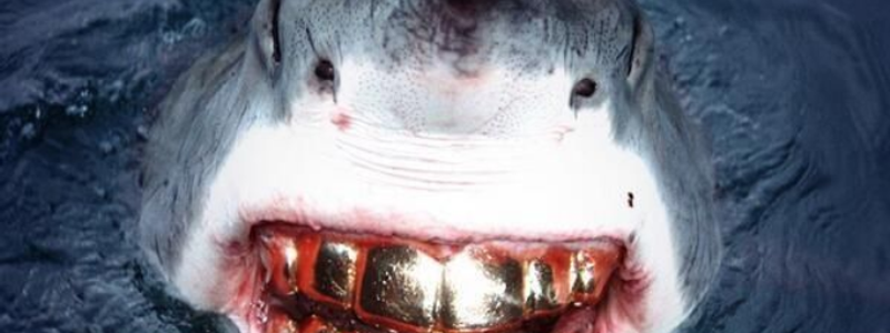 Cuanto sabes de geometry dash 3??