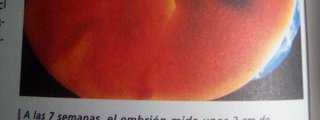 Que dinosaurio eres?