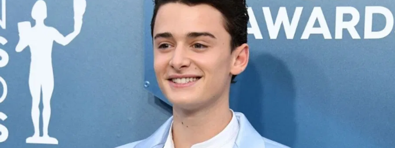 Would  Noah schnapp  loves you?