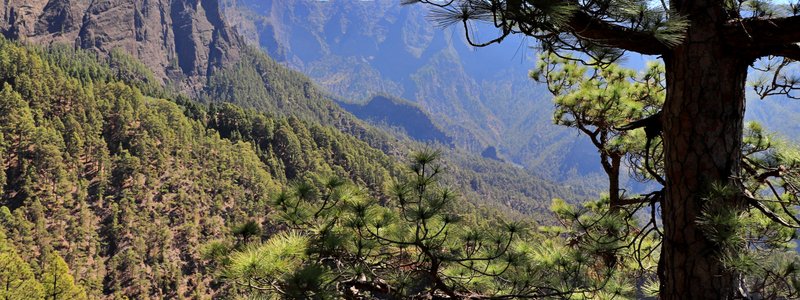 Historia de San Miguel de La Palma