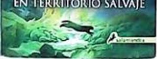 ¿Cuanto sabes de los gatos guerreros en territorio salvaje?