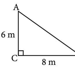 Calcula el valor de la hipotenusa. - Teorema de Pit&aacute;goras