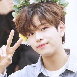 &iquest;Cual es el nombre de su empresa? - Cuanto sabes sobre Stray Kids