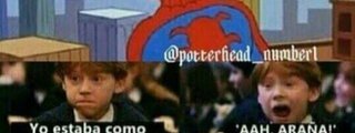 ¿De que casa de Hogwarts eres?