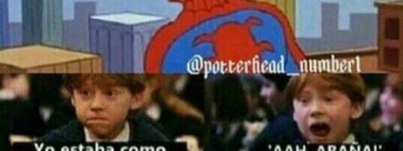 ¿De que casa de Hogwarts eres?