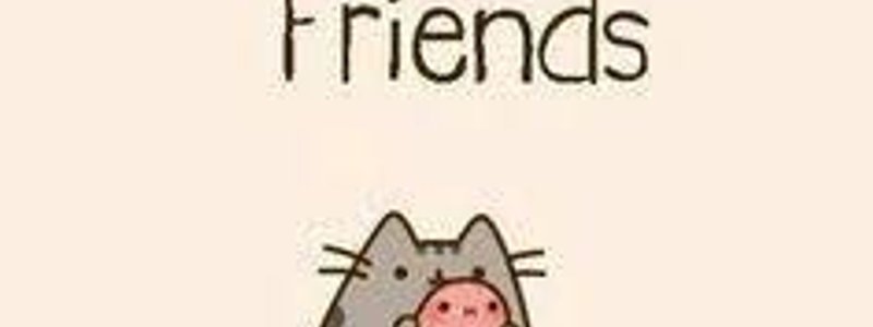 patata o pusheen 