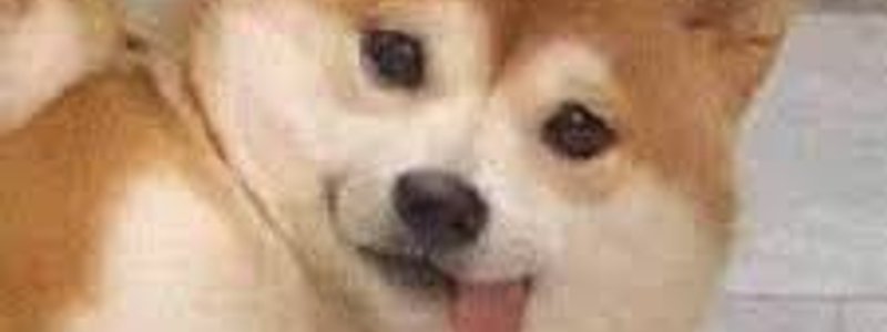 que personaje de mis fotos eres :v