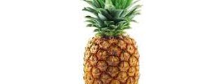 piña de piña